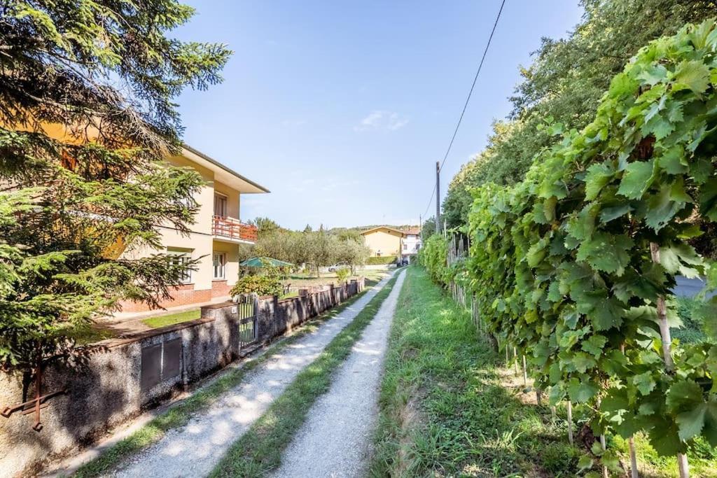 Appartamento Poggio Del Sole Lukka Zewnętrze zdjęcie